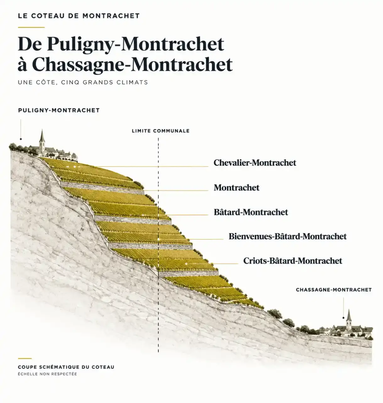Carte schématique des grands crus Montrachet répartis sur le coteau entre Puligny et Chassagne